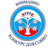 Стартует конкурс для социально ориентированных некоммерческих организаций 33 го региона
