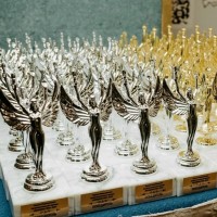 Национальная премия «Женщины НКО» открыла прием заявок по 23 номинациям.