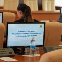Вчера на очередном пленарном заседании Общественной палаты области рассмотрели ряд важных вопросов